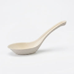 White ceramic spoon on a white background