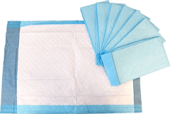 Disposable Underpads / Pulp Filled - 40x60cm - CTN300 - Eve Zone