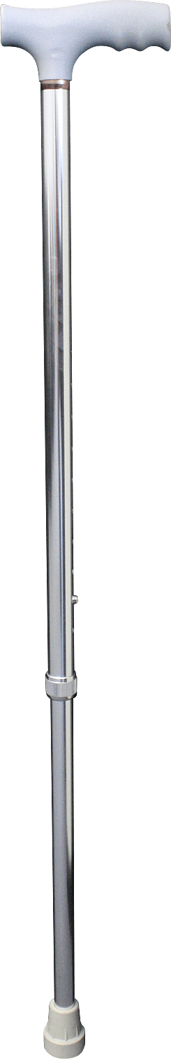 Walking Stick, Adjustable, Aluminum - EA - Eve Zone
