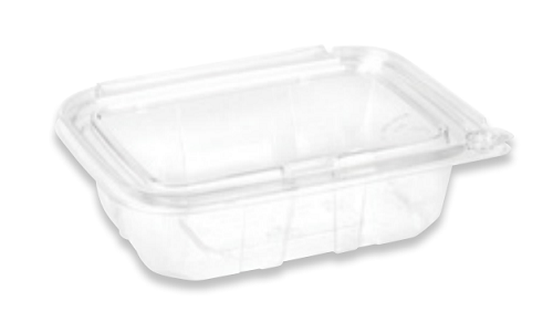 Stay Safe Rectangular Container CTN200