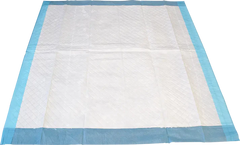 Super Absorbent Underpads - CTN200