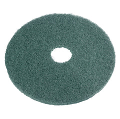 Green Scrubbing 50cm – Carton of 5 | Sabco Professional