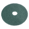 Green Scrubbing 50cm – Carton of 5 | Sabco Professional