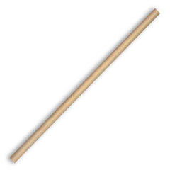 6mm Regular BioStraw - CTN2500 - Eve Zone